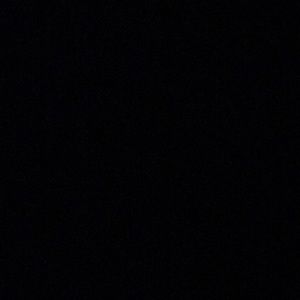 Meet your Posher, Ann